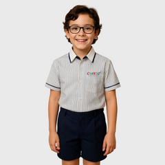 PP Blue Stripes Shirt