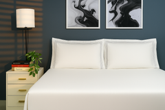 Bedcetera Pearl  King Size Solids Bedsheet White Color
