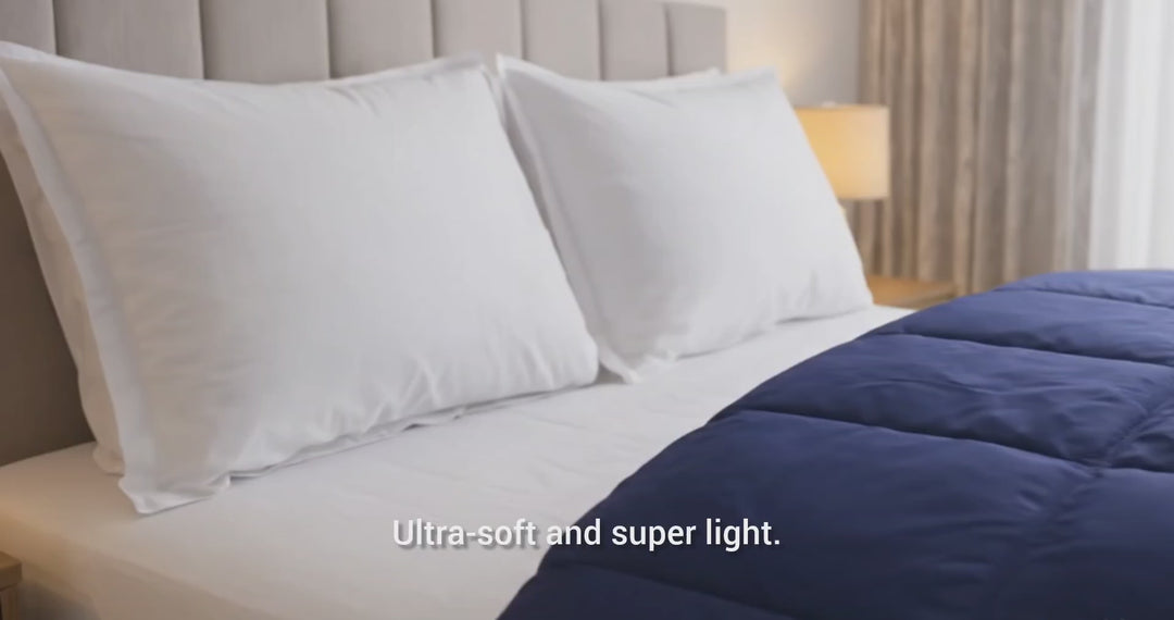 Lavender & Blueberry  All Season Reversible Single Comforter